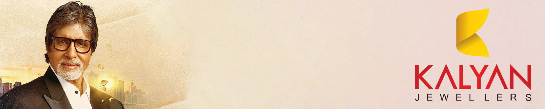 Banner Area4